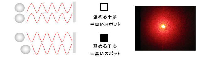 動的（DLS）・静的（SLS）光散乱式粒度分布測定装置