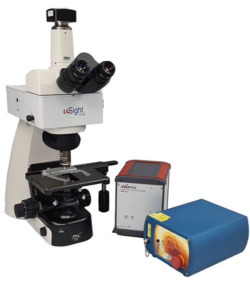 ラマン顕微鏡・小型分光器：株式会社 ニューメタルス エンド 